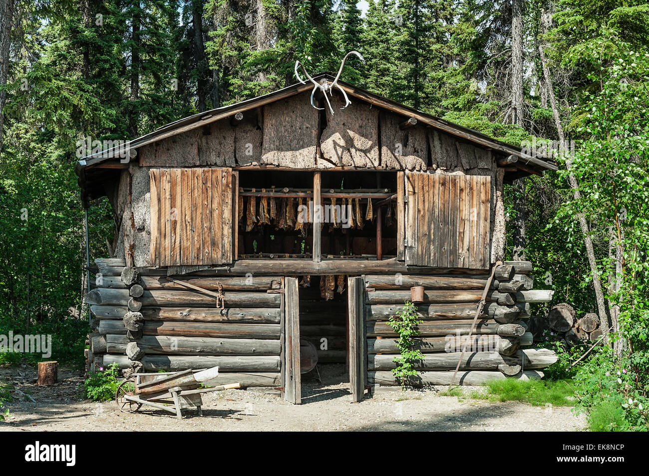 Fischräucherei, Chena Indian Village, Alaska, USA Stockfoto
