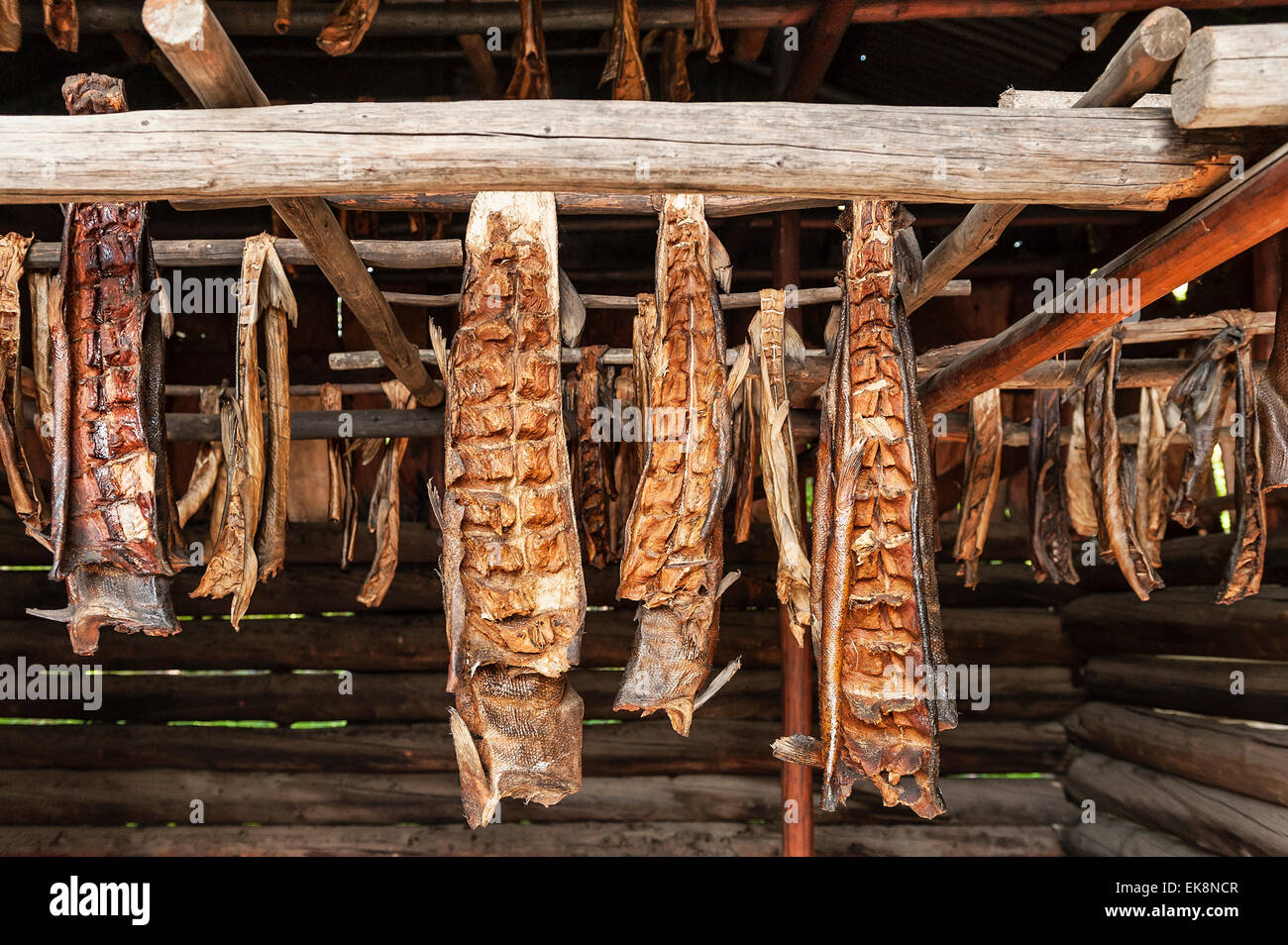 Fischräucherei, Chena Indian Village, Alaska, USA Stockfoto