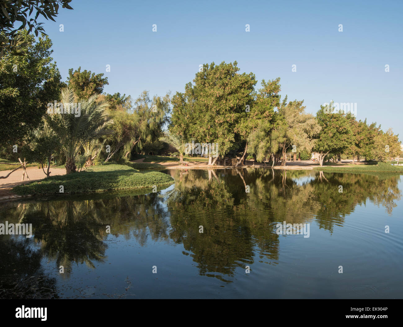 Bäume und Reflexionen in einem kleinen Teich in ländlicher Gegend Parkanlage Stockfoto