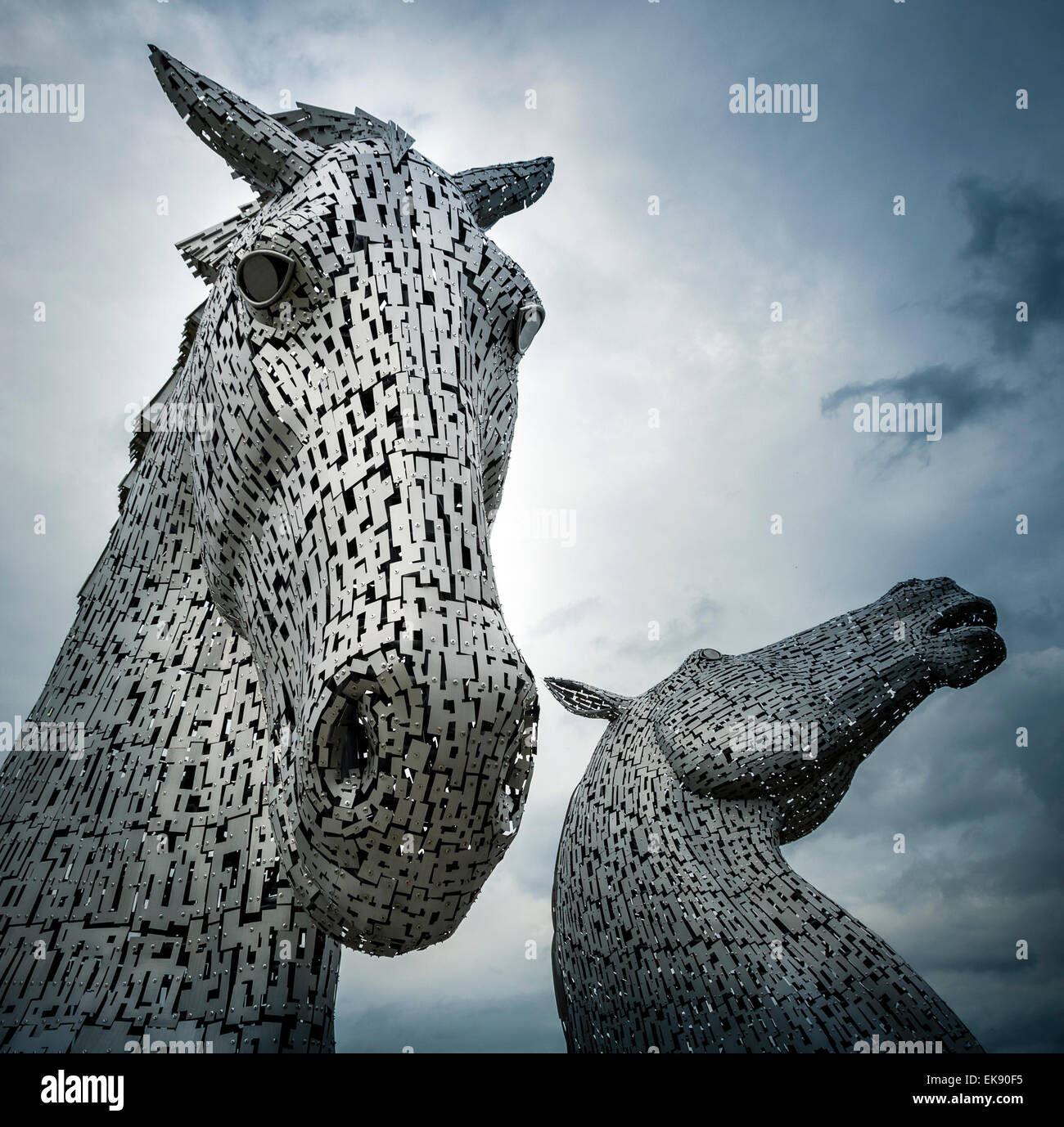 Die Kelpies von Andy Scott, riesige equine Statuen in Helix Park, Falkirk, Schottland, Großbritannien Stockfoto