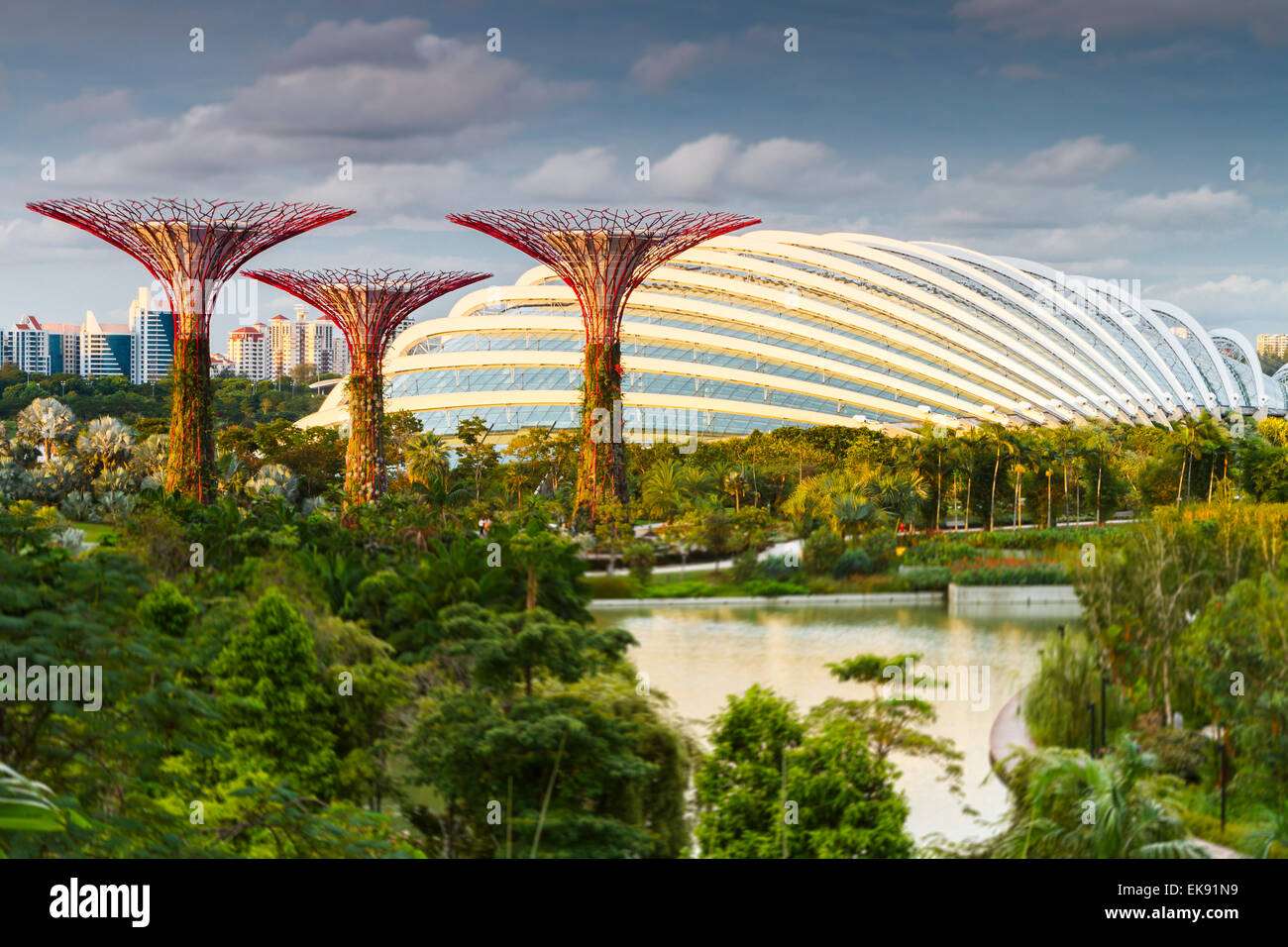 Supertrees und Kuppel. Gardens by the Bay. Marina Bay. Singapur, Asien. Stockfoto