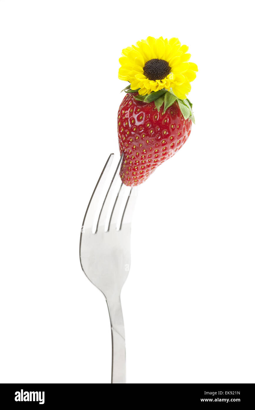 Erdbeere mit einer Blume auf einer Gabel isoliert auf weiss Stockfoto