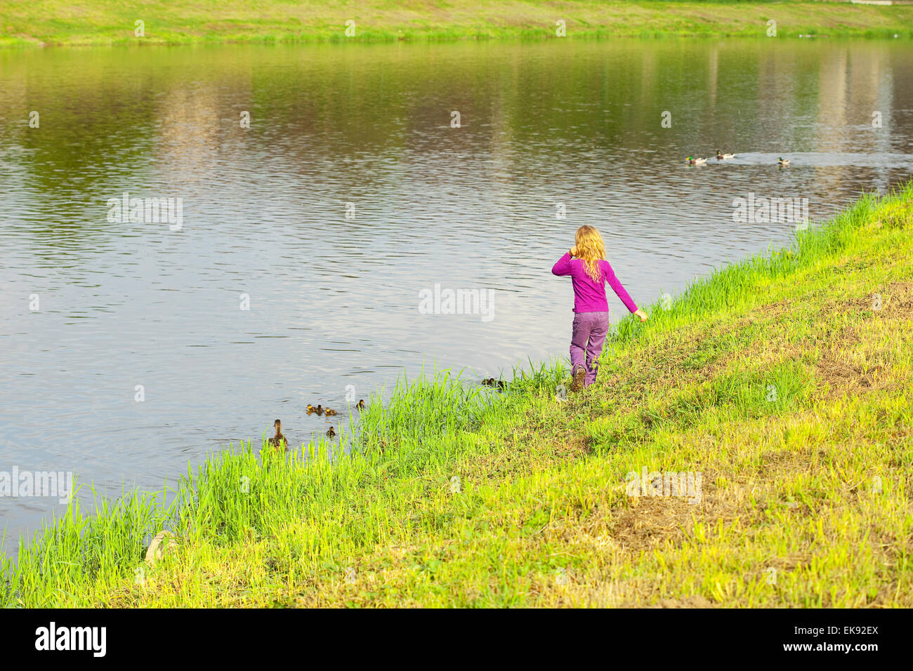 Ente mit textfreiraum -Fotos und -Bildmaterial in hoher Auflösung – Alamy Ente mit textfreiraum -Fotos und -Bildmaterial in hoher Auflösung – Alamy
