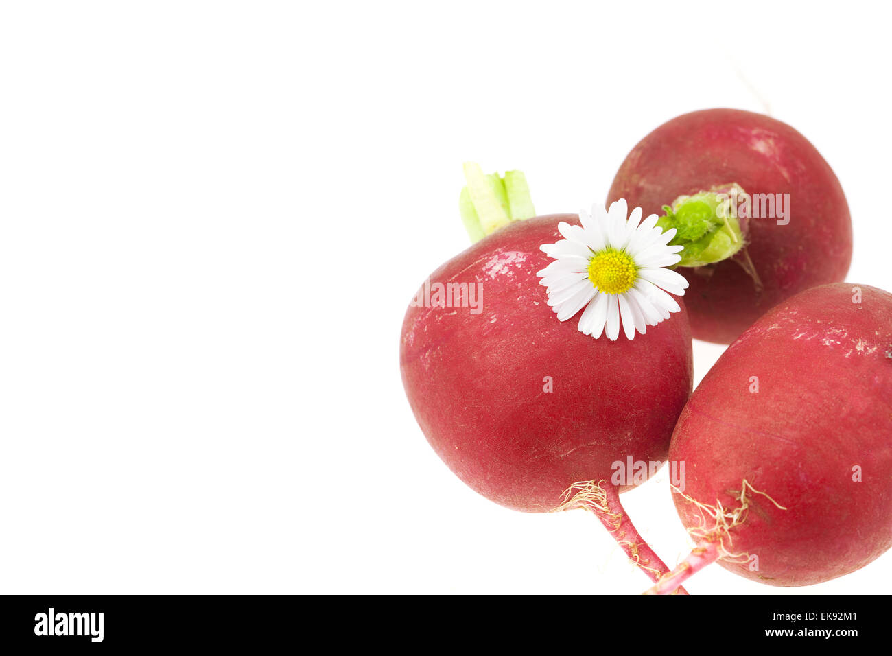 Rettich und eine Blume isoliert auf weiss Stockfoto