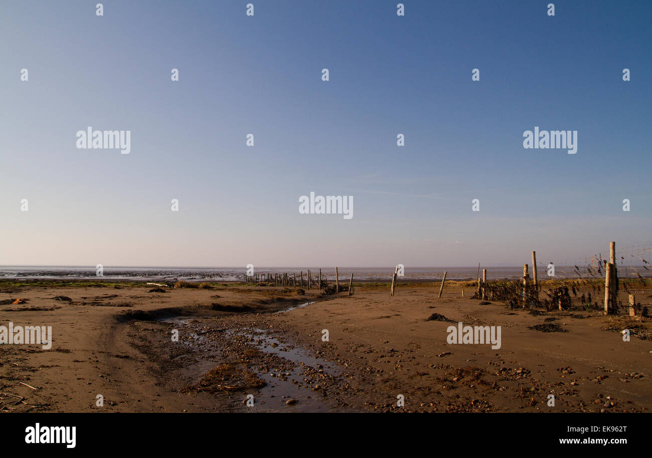 Stert Wohnungen in Bridgewater Somerset Stockfoto