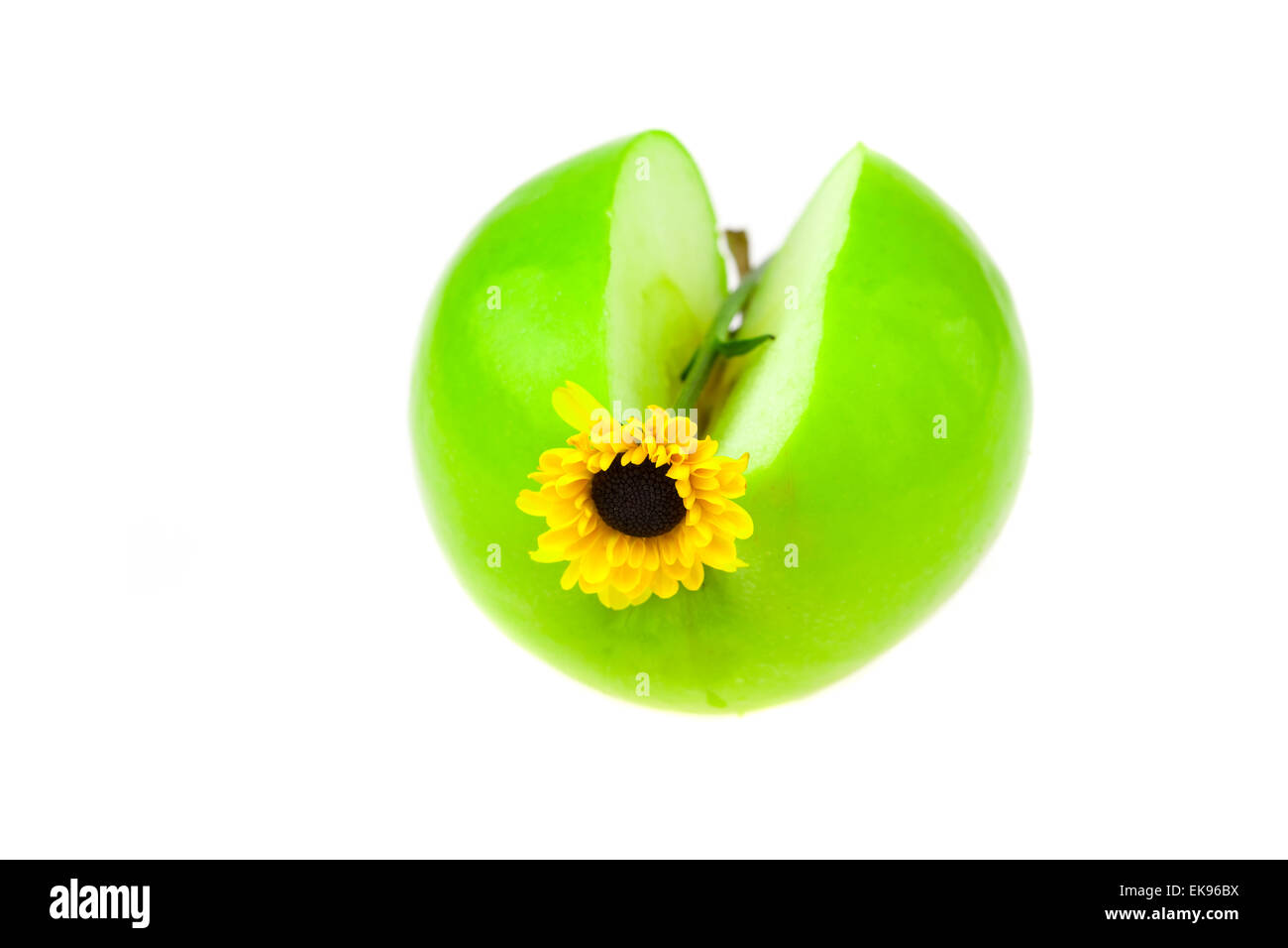 Apfel und eine Blume isoliert auf weiss Stockfoto