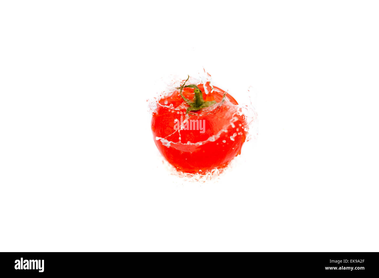 Tomaten mit Spritzwasser isoliert auf weiss Stockfoto