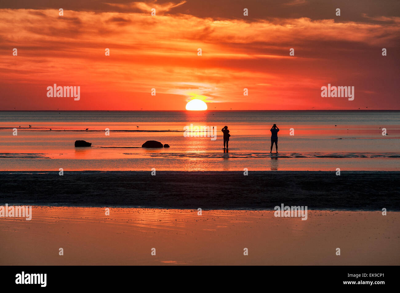 Fotografen fotografieren Sonnenuntergang am Skaket Beach, Cape Cod, Massachusetts, USA Stockfoto