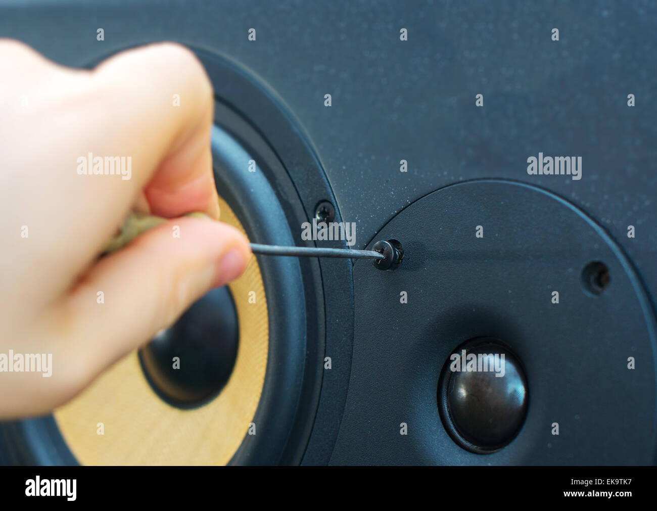 Männliche Hand professionelle Studio-Monitor-Lautsprecher anschließen. Stockfoto