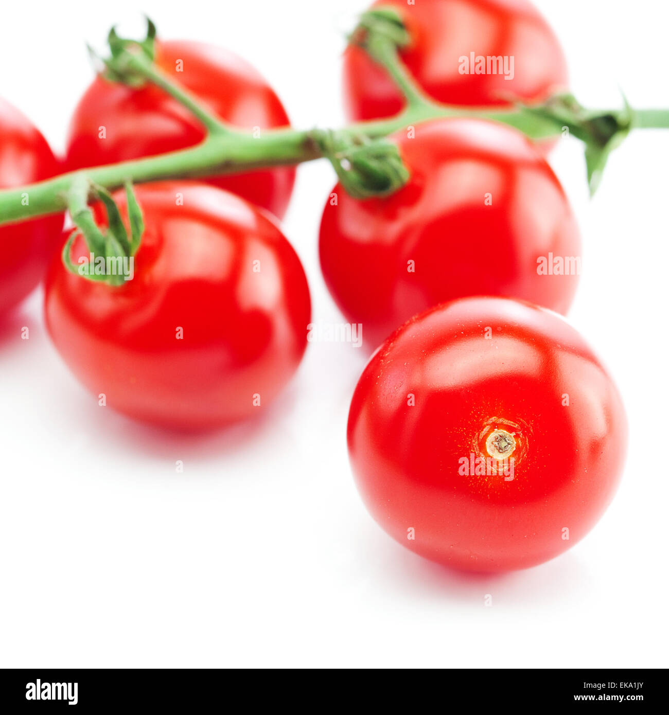 Reihe von Tomate, isoliert auf weiss Stockfoto