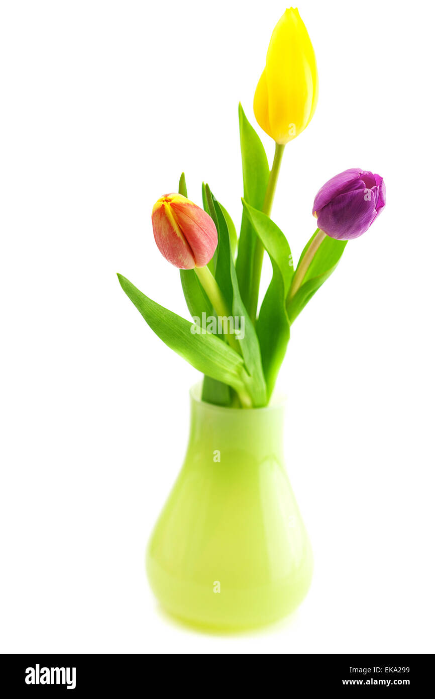 Bunte Tulpen in Vase isoliert auf weiss Stockfoto