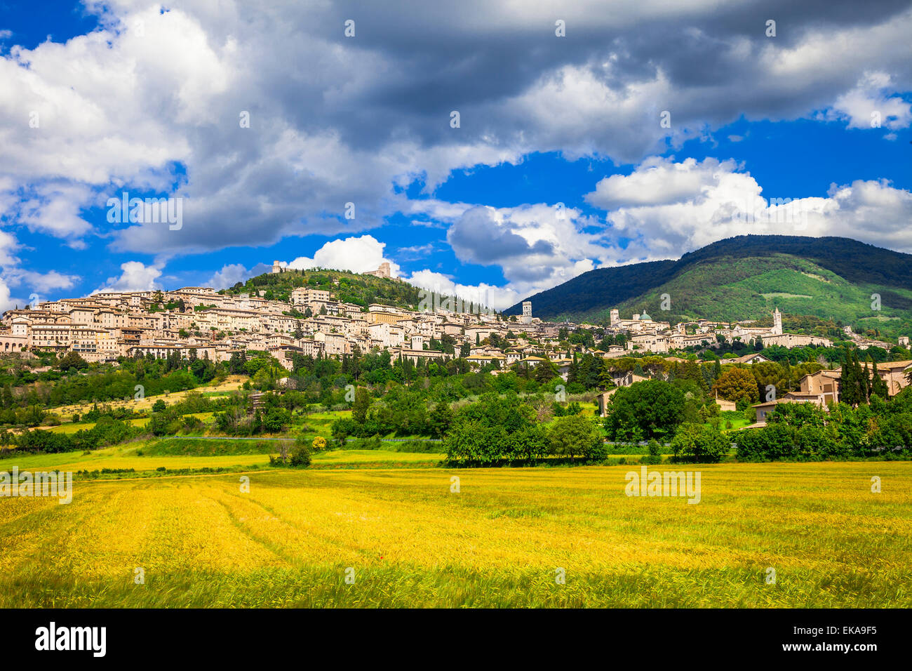 Blick auf Assisi, mittelalterliche religiöse Stadt in Umbrien, Italien Stockfoto