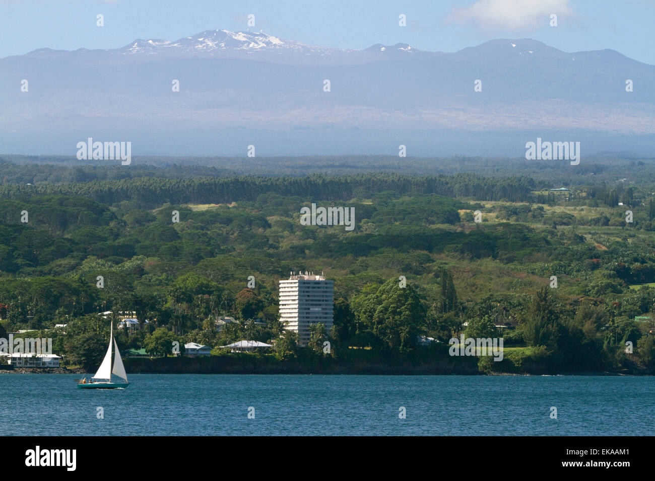 Blick auf die Küste und Vulkan Mauna Kea auf Hilo, Hawaii, USA. Stockfoto