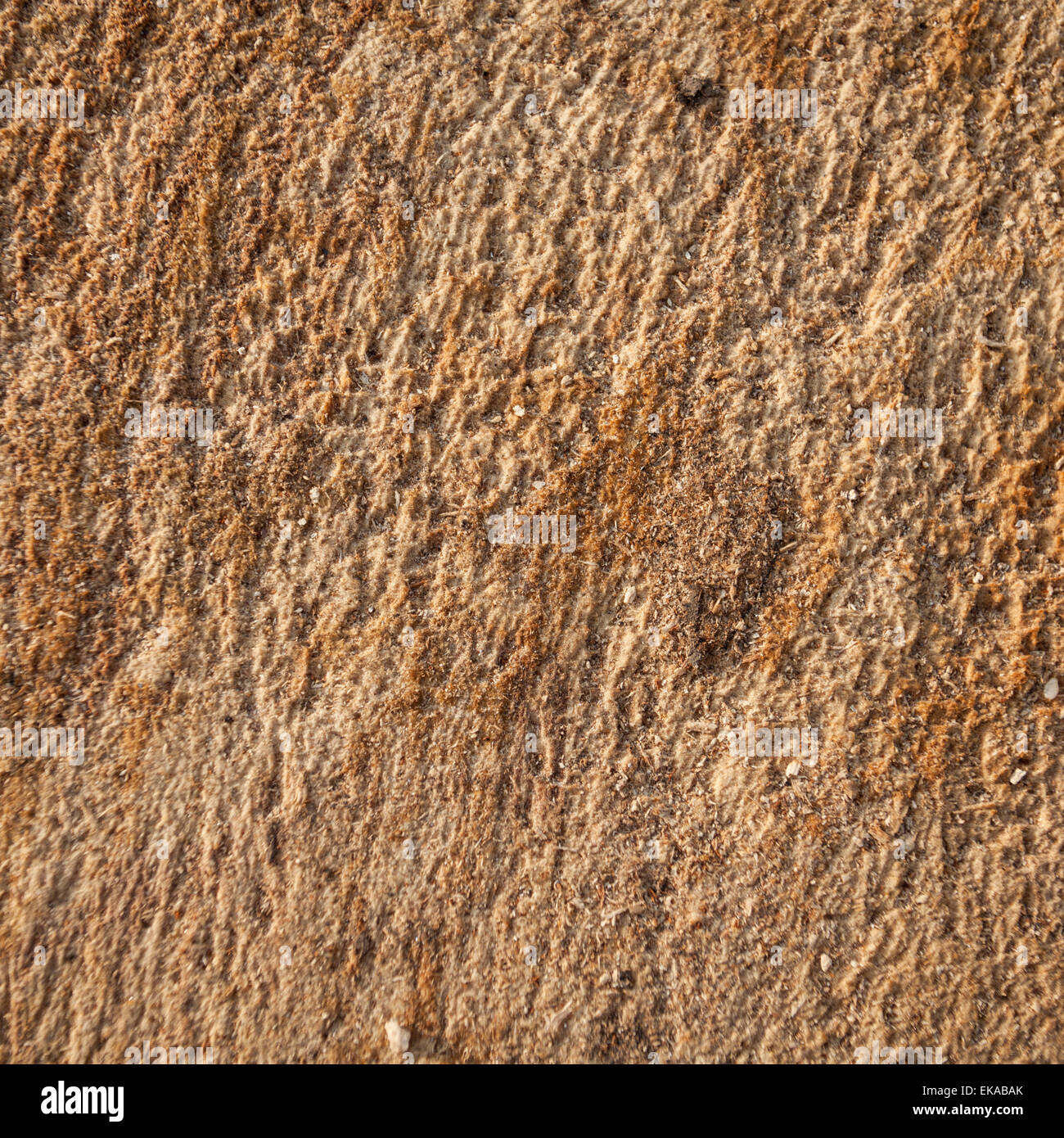 alte Holz-Textur. Hintergrund-Panels für design Stockfoto