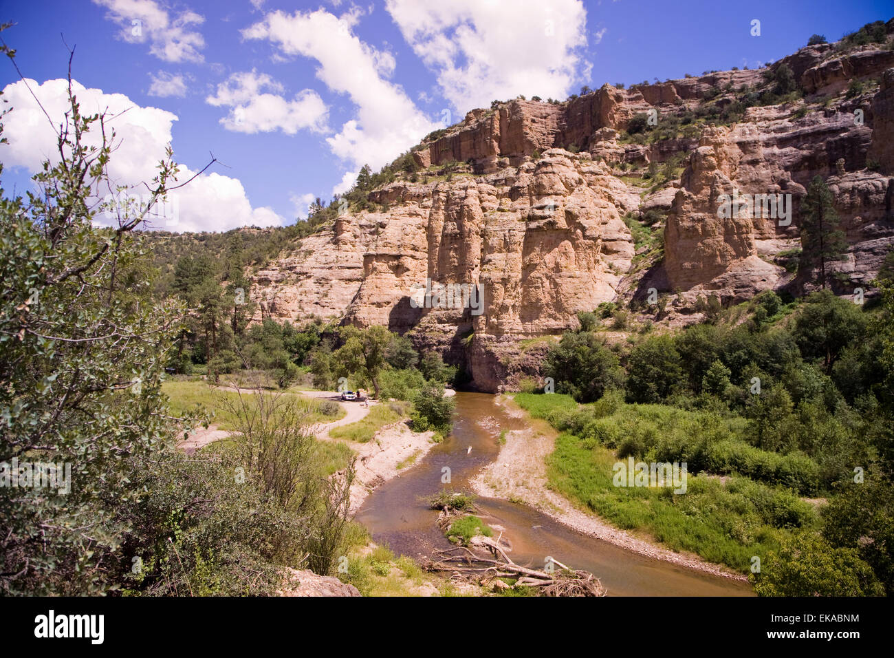 Der Gila River, Gila National Forest, NM, USA Stockfoto