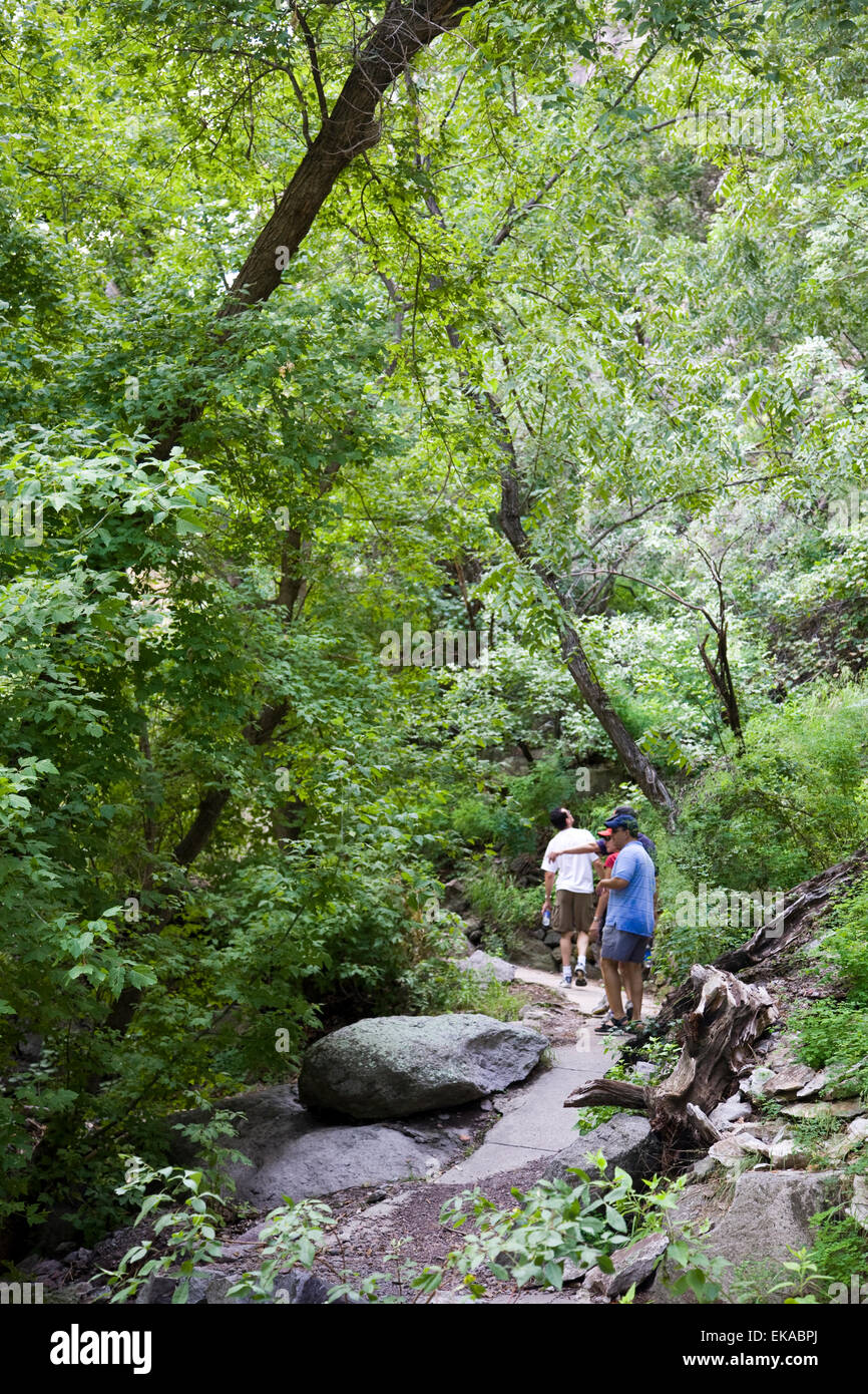 Eingang zum Wildwasser-Canyon und The Catwalk, Gila National Forest, in der Nähe von Glenwood, NM, USA Stockfoto