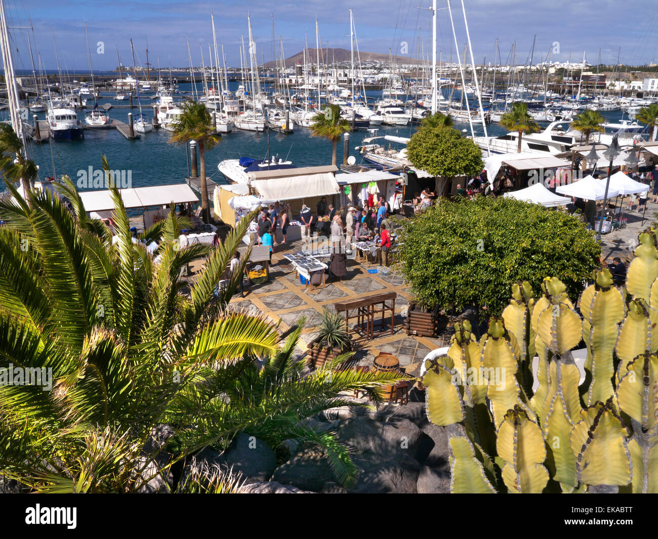 Markt Marina Rubicon Hafen luxus Yachten mit wöchentlichen Marktständen und typische Kakteen übersicht Lanzarote Kanarische Inseln Spanien Stockfoto