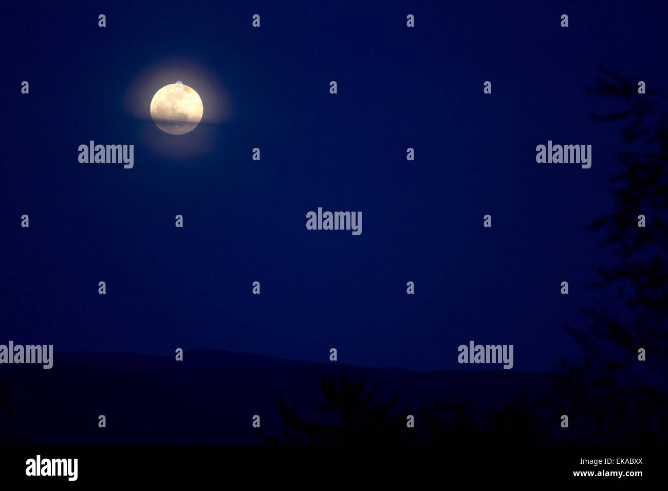 Frühling Vollmond. Stockfoto