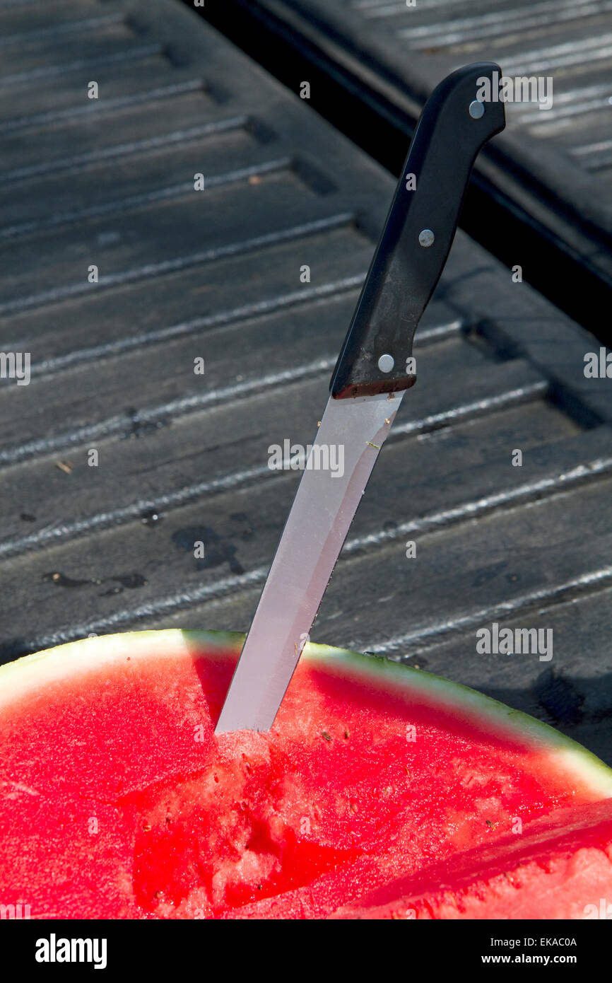 Messer in einer Scheibe Wassermelone Probe auf ein Produkt stehen im ländlichen Georgia/USA. Stockfoto