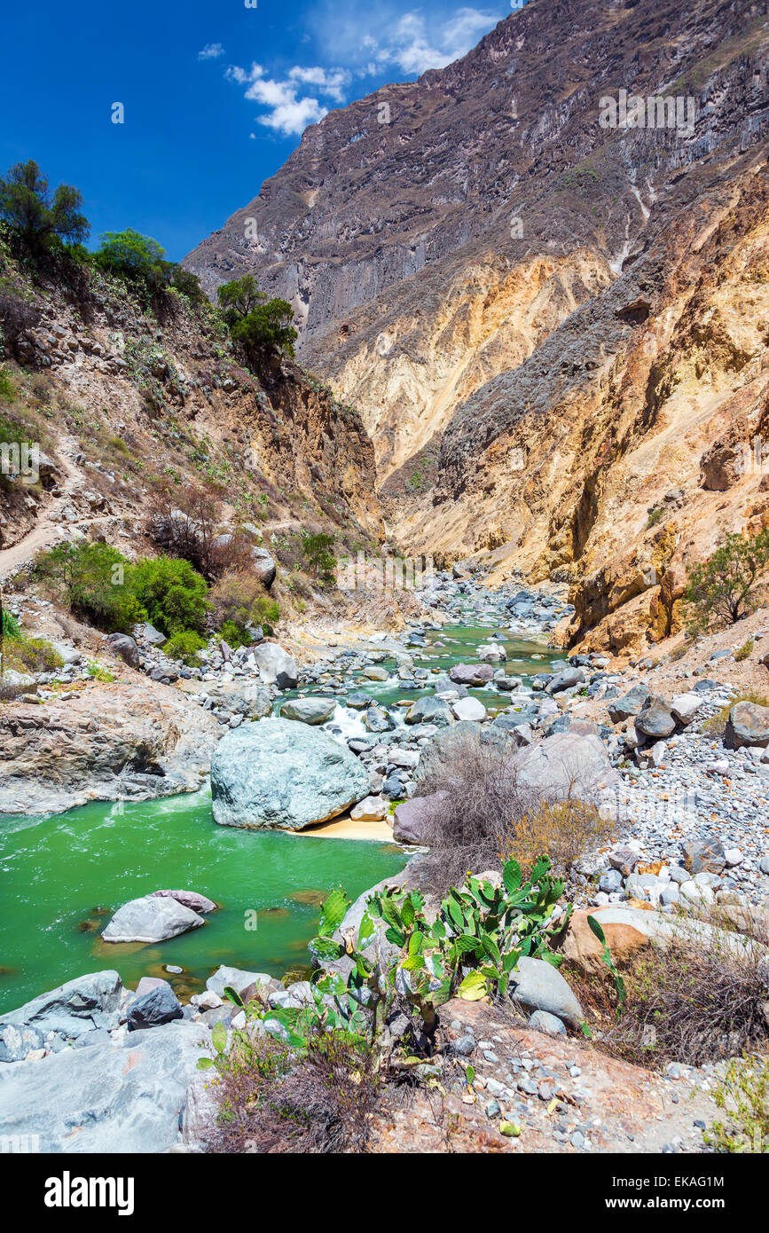 Vertikale Ansicht von einem wunderschönen grünen Fluss im Colca Canyon in Peru Stockfoto