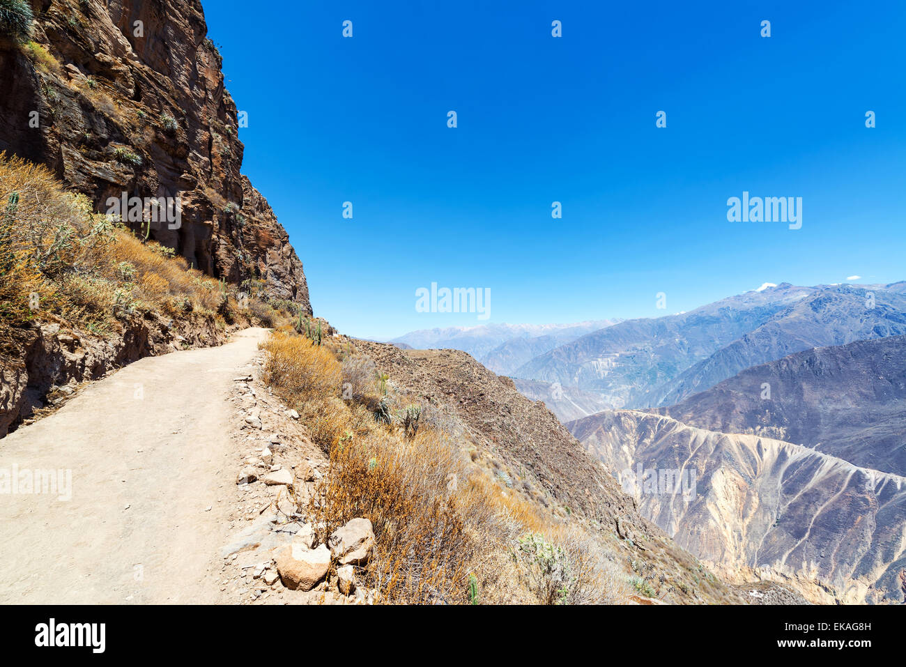 Spur führt in die und aus den Colca Canyon in Peru Stockfoto