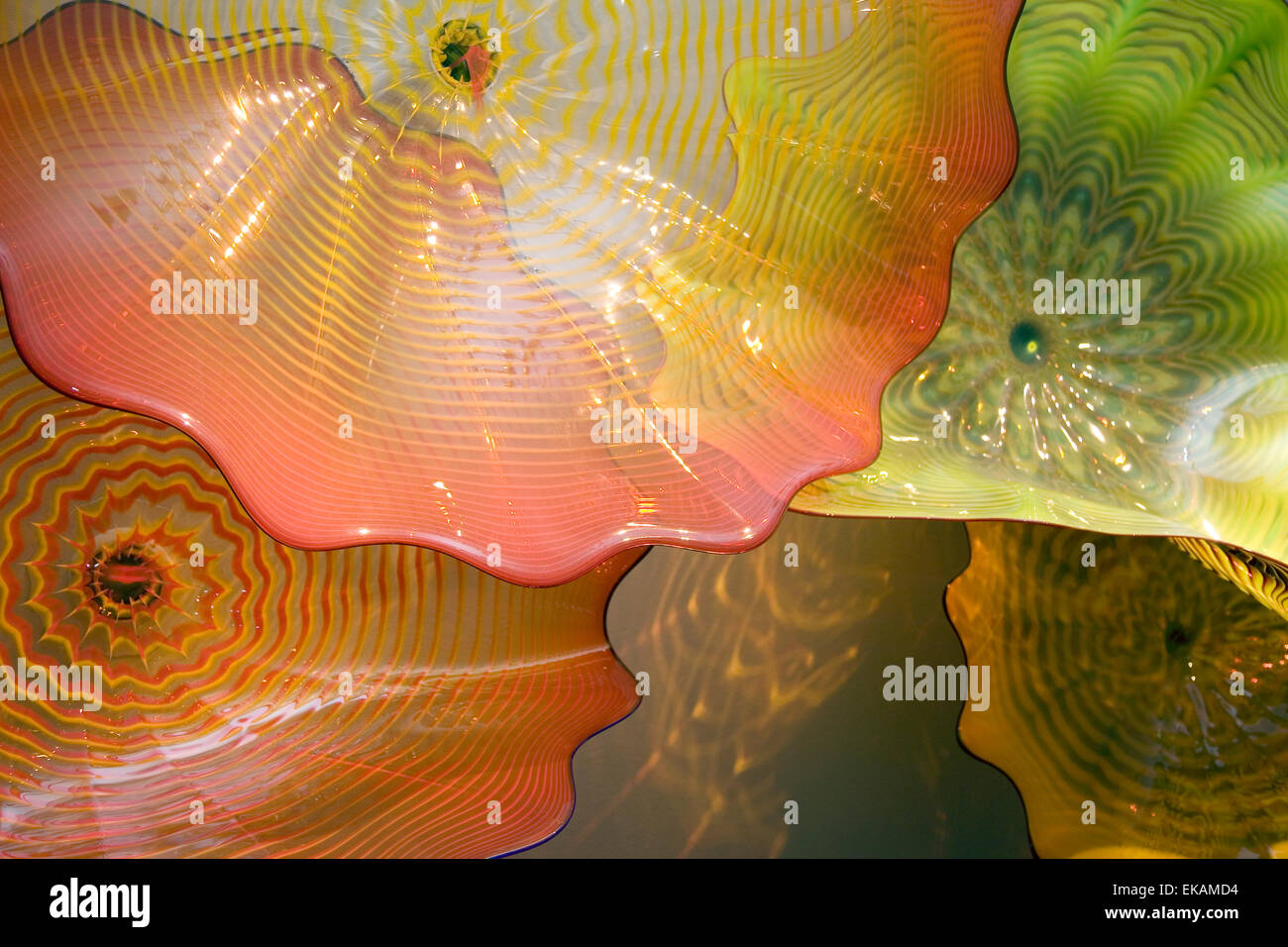 Detail der Kunst Glas Magie von Dale Chihuly in Oklahoma City Museum of Art, OK, USA Stockfoto