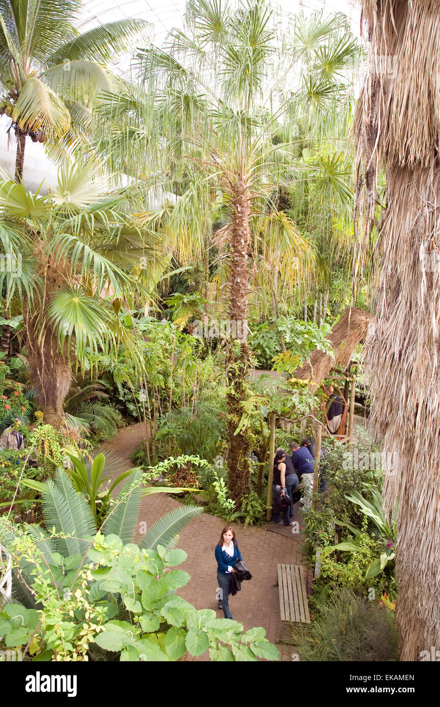 Myriad Botanical Gardens, Oklahoma City, OK, USA Stockfoto