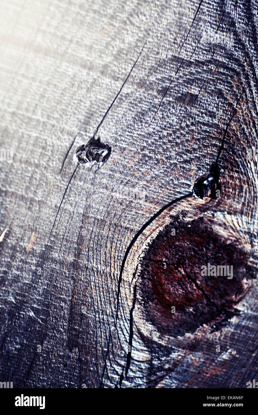 Rinde des Baumes mit geschnittenen Zweig. Baum Holzstruktur mit seltsamen und ungewöhnlichen Design. Stockfoto