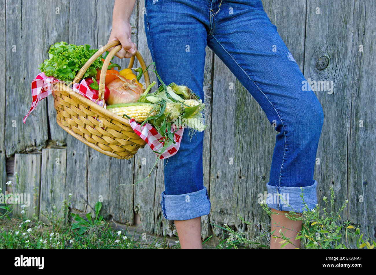 Junges Mädchen mit Korb mit frischem Gemüse vom alten Scheune. Stockfoto