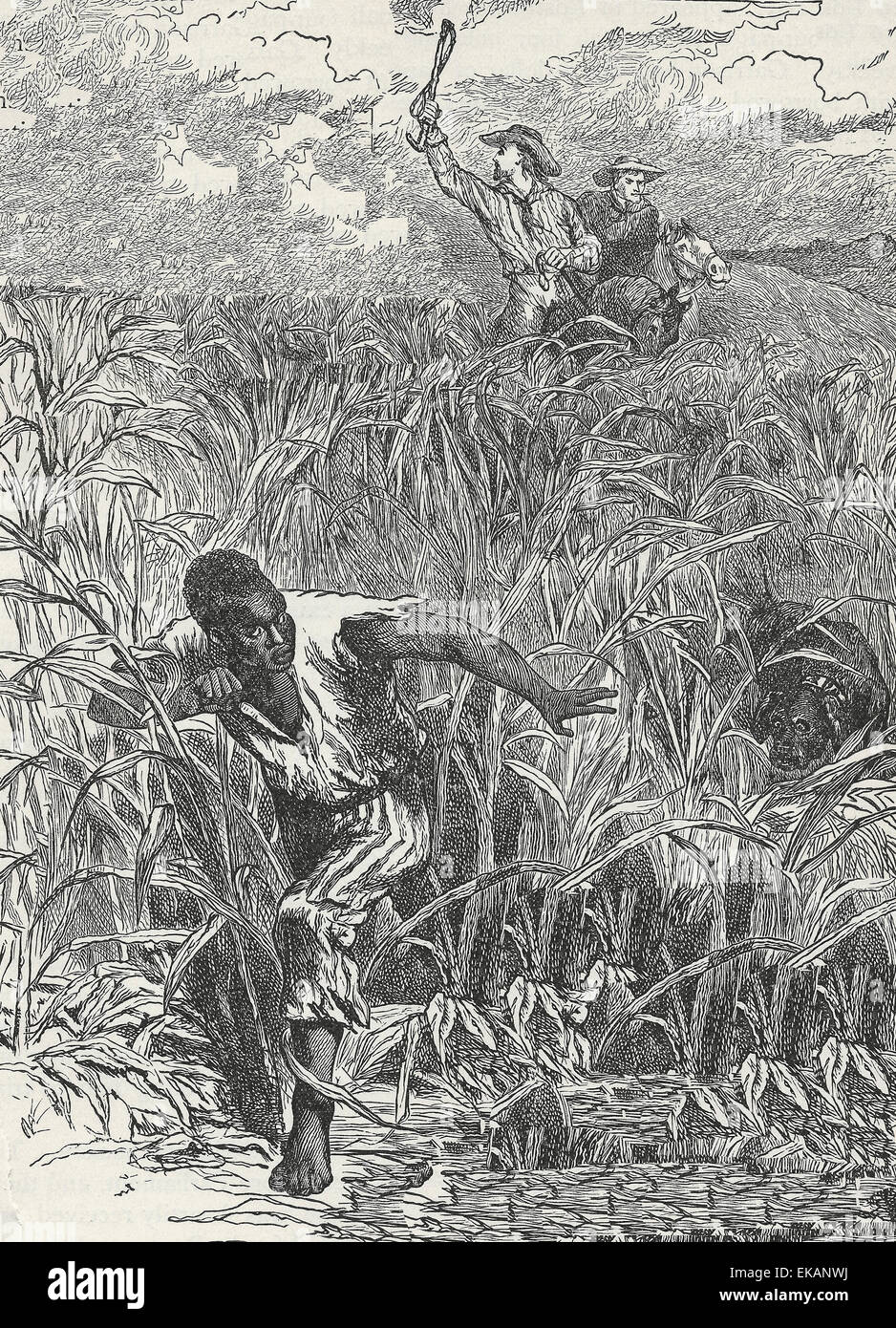 Sklavenjagd - Männer zu Pferd mit einem Hund jagen einem entflohenen Sklaven, ca. 1850 Stockfoto