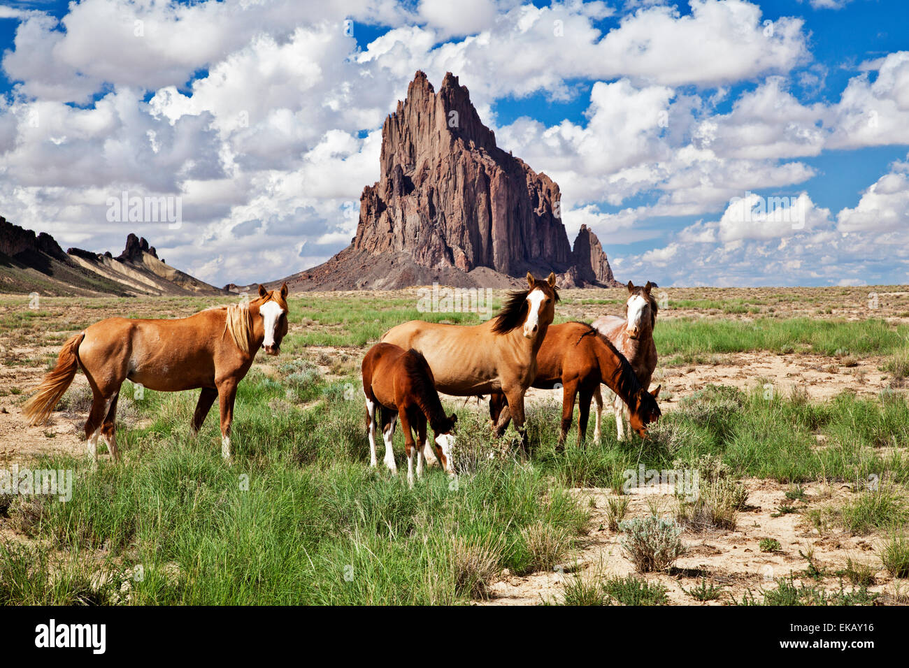 Shiprock ist hoch aufragenden siebzehn hundert Fuß über der Ebene, ein Überbleibsel aus einem vulkanischen Kern aus Basalt. Stockfoto