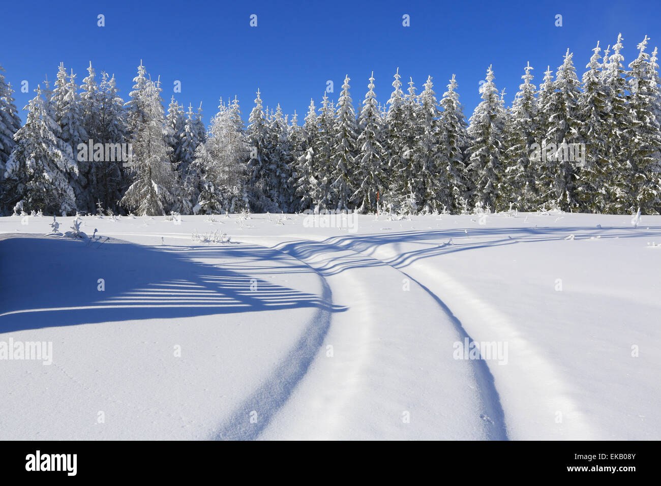 Sonnigen Winterlandschaft und Trails für Skifahrer, Böhmerwald, Tschechien Stockfoto
