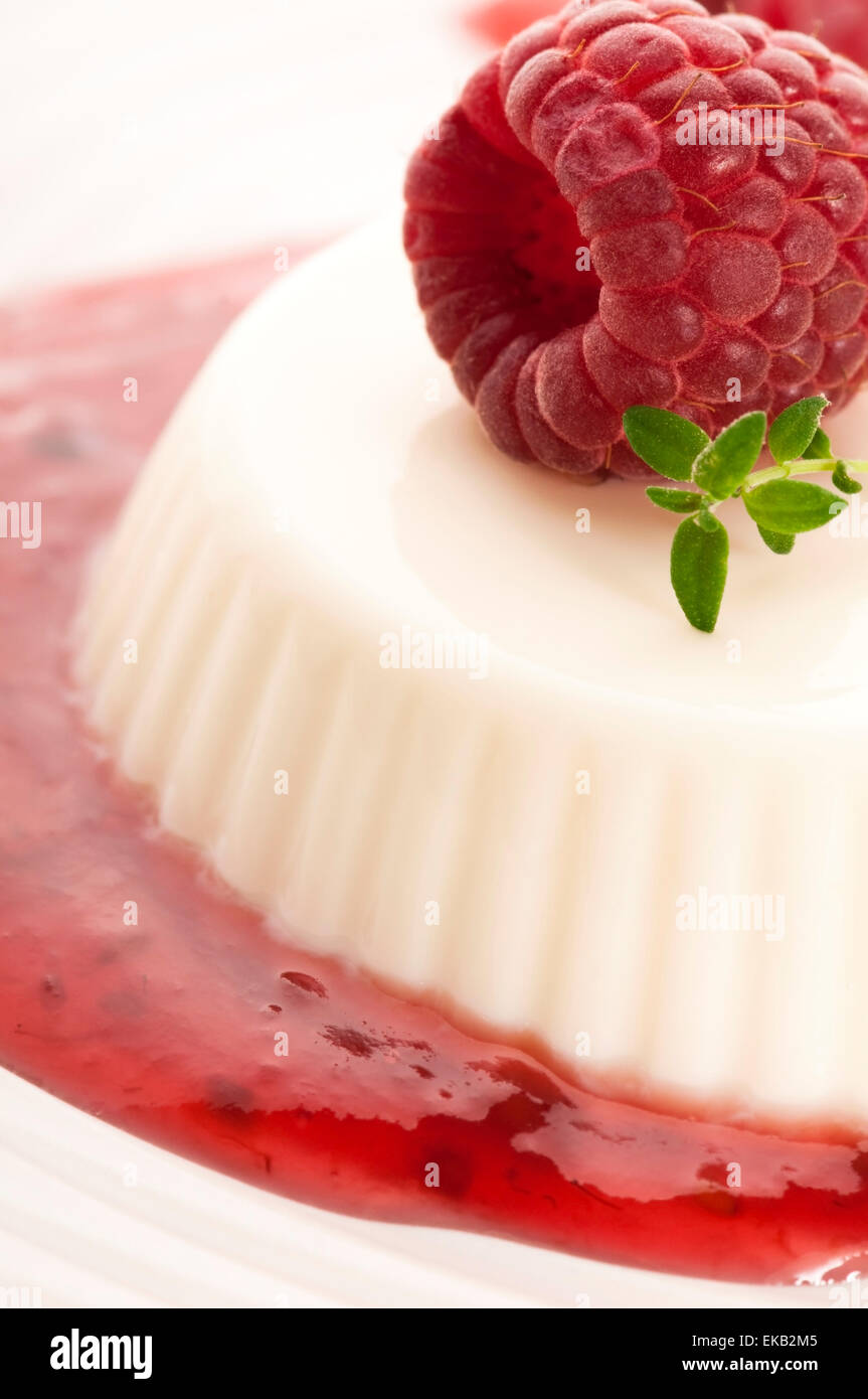 Vanille Pannacotta mit Beerensauce Stockfoto