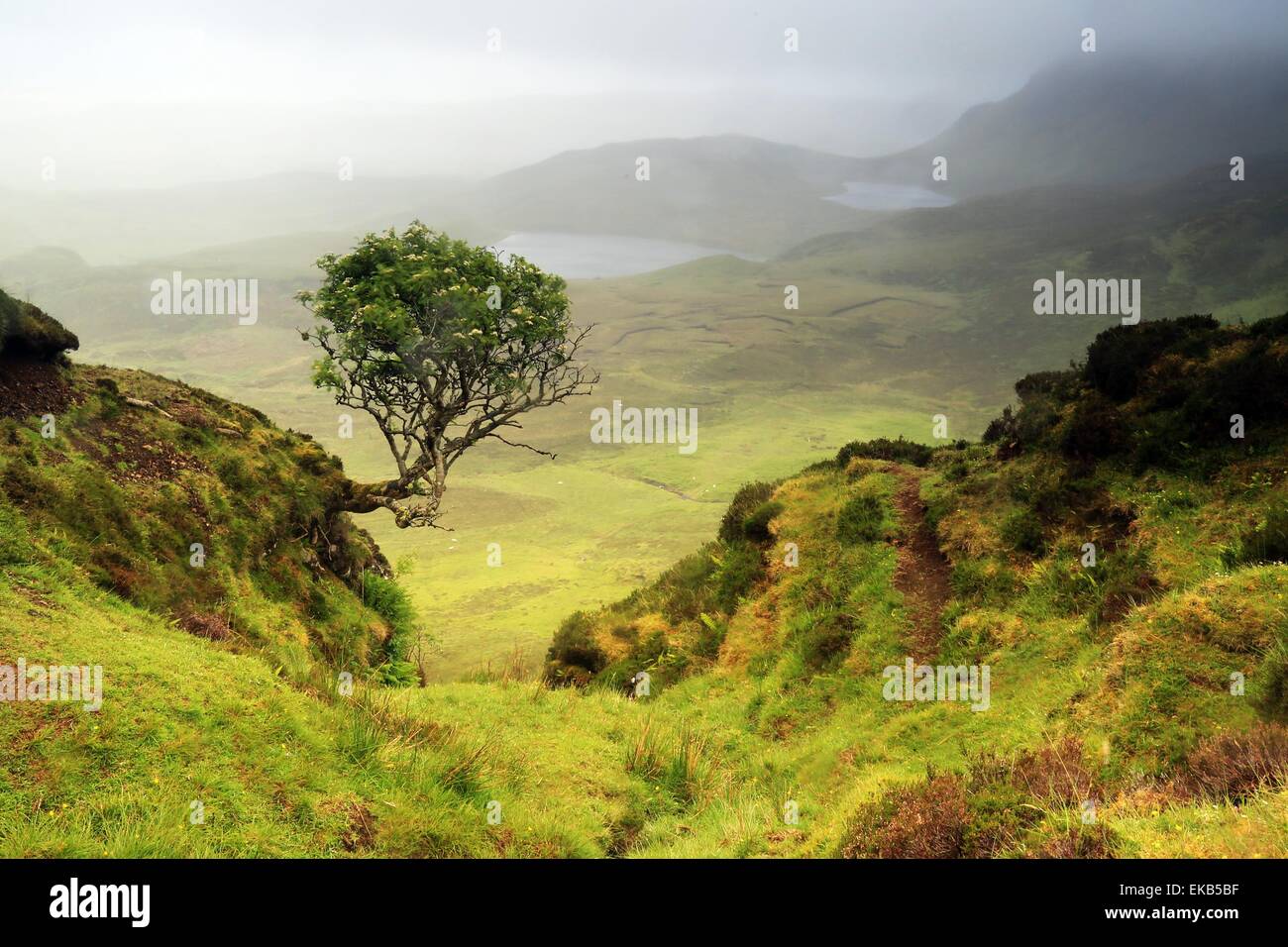 Landschaft der schottischen Isle Of Skye, Schottland. VEREINIGTES KÖNIGREICH. Stockfoto