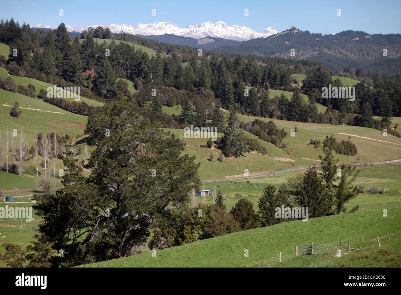Mount Owen Palette von Tapawera, Nelson, Neuseeland betrachtet Stockfoto
