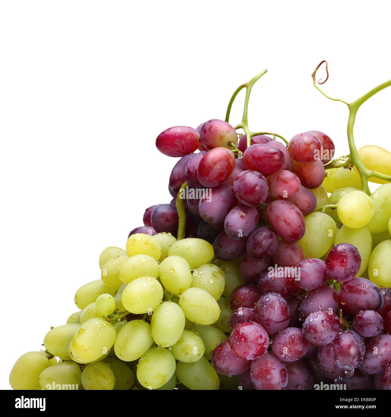 frisches Grün und rosa Trauben Stockfoto