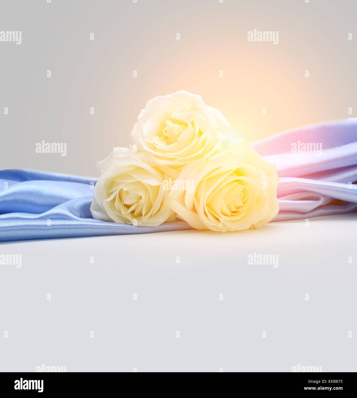 Rosen auf Seide Hintergrund Stockfoto