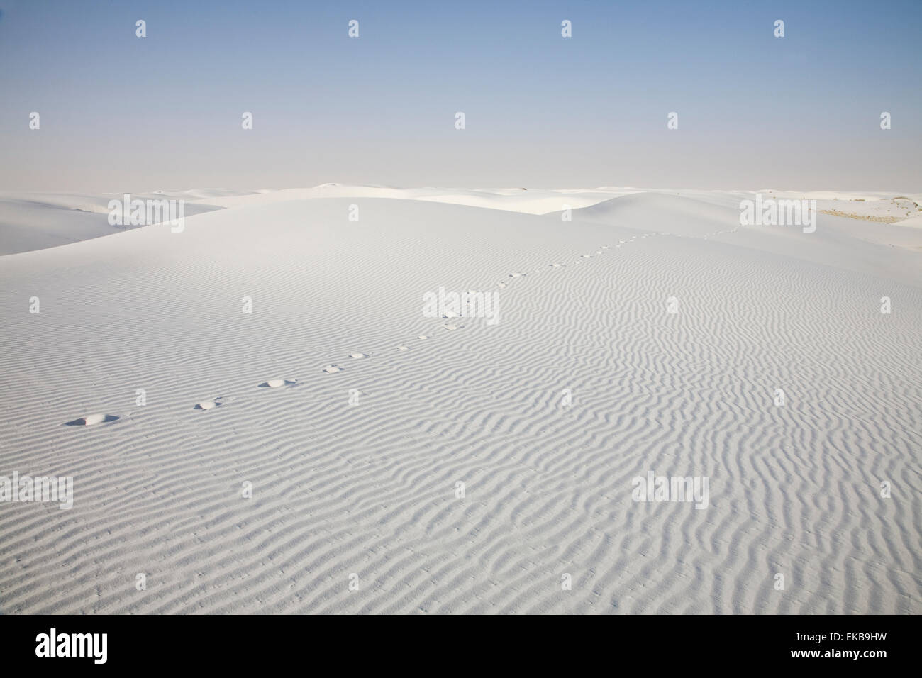 Spuren eines Besuchers im White Sands National Monument in der Nähe von Alamagordo, New Mexico Stockfoto