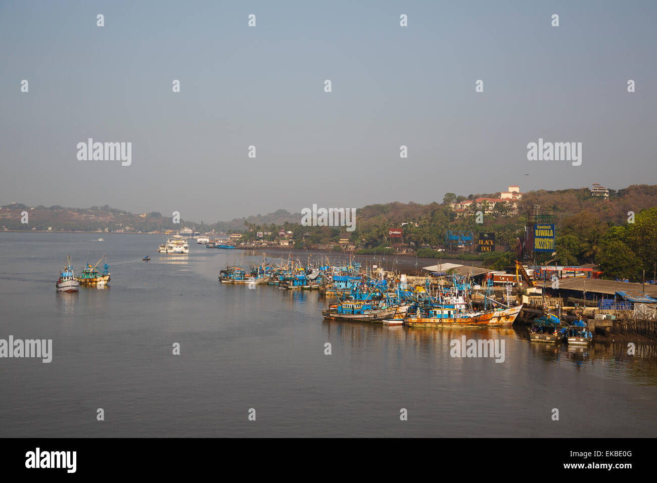 Fischerei-Hafen von Panjim, Goa, Indien, Asien Stockfoto