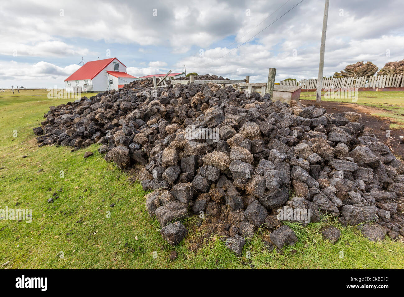 Torf trocknen im Wind für Kraftstoff auf Long Island Schafhalter außerhalb Stanley, Falkland-Inseln, britische Übersee Protektorat Stockfoto