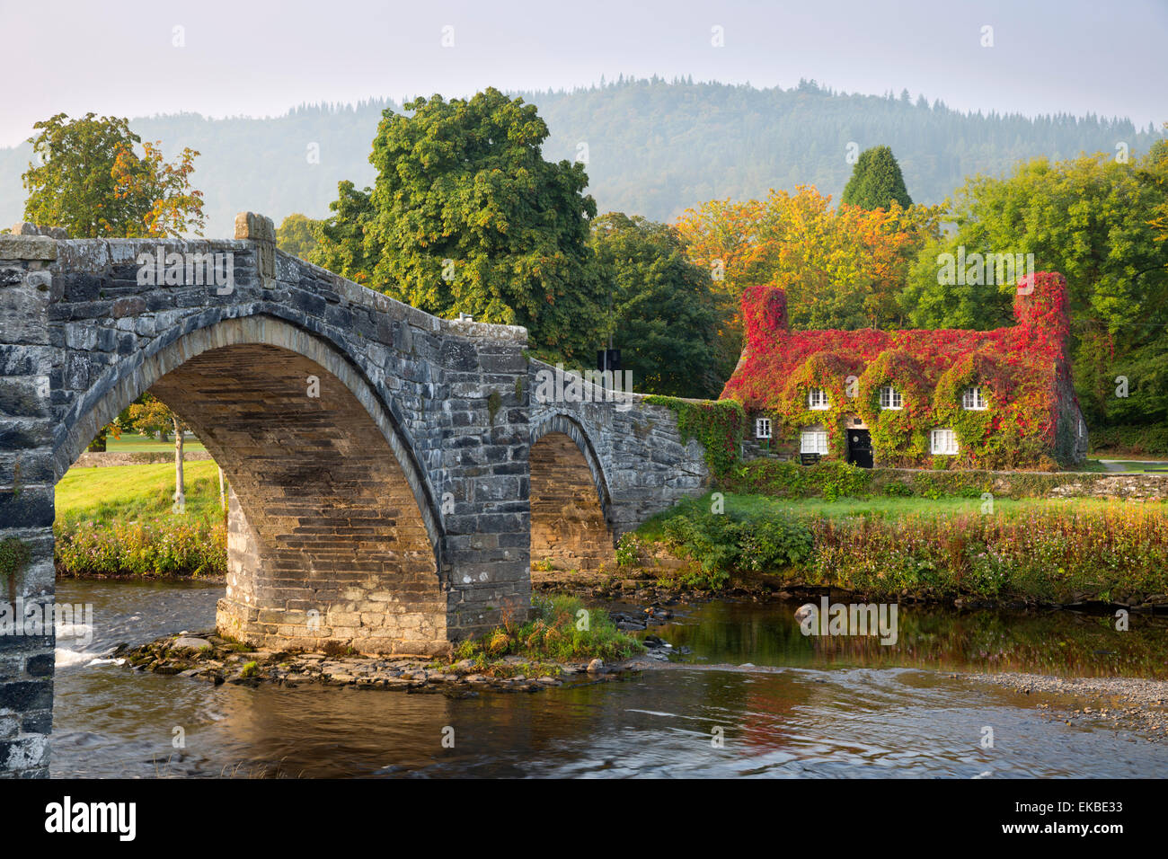TU Hwnt i'r Bont Teestube und Pont Fawr (große Brücke) im Herbst, Romanum, Snowdonia, Conwy, Wales, Vereinigtes Königreich, Europa Stockfoto