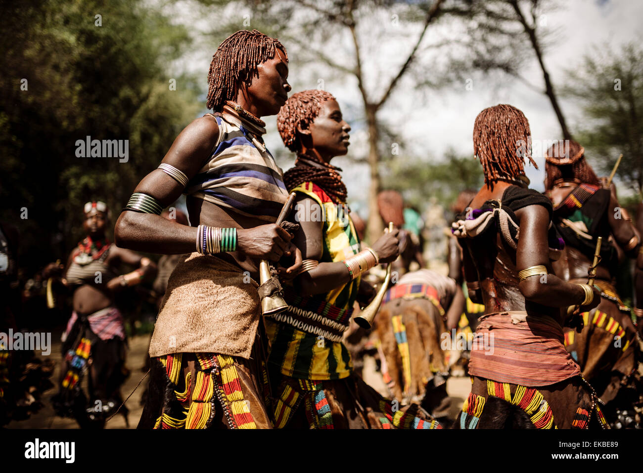 Springen von den Bullen Zeremonie, Hamar Stamm Turmi, Omo-Tal in Äthiopien, Afrika Stockfoto