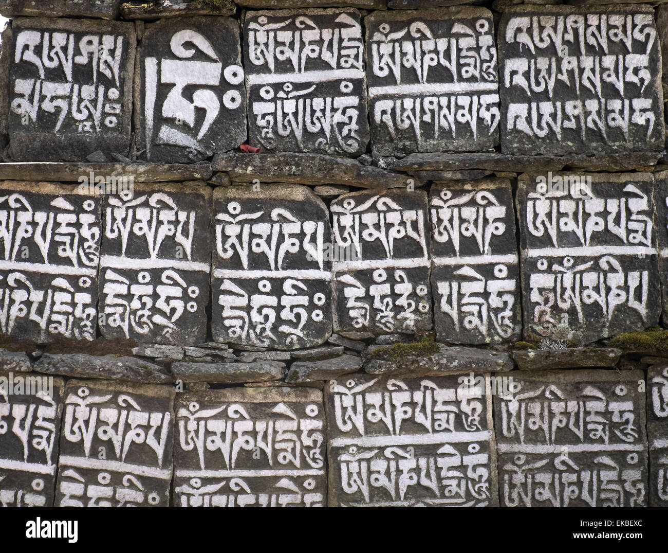 Nahaufnahme von Mani-Steinen entlang der Wanderwege im Sagarmatha Nationalpark, UNESCO, Nepal, Asien Stockfoto