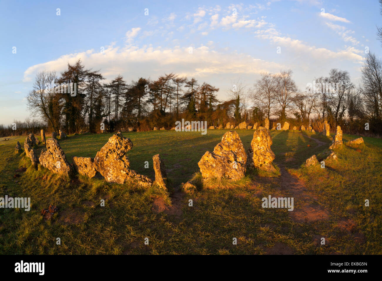 Die Rollright Stones, eine Bronzezeit stone Circle, Chipping Norton, Oxfordshire, Cotswolds, England, Vereinigtes Königreich, Europa Stockfoto