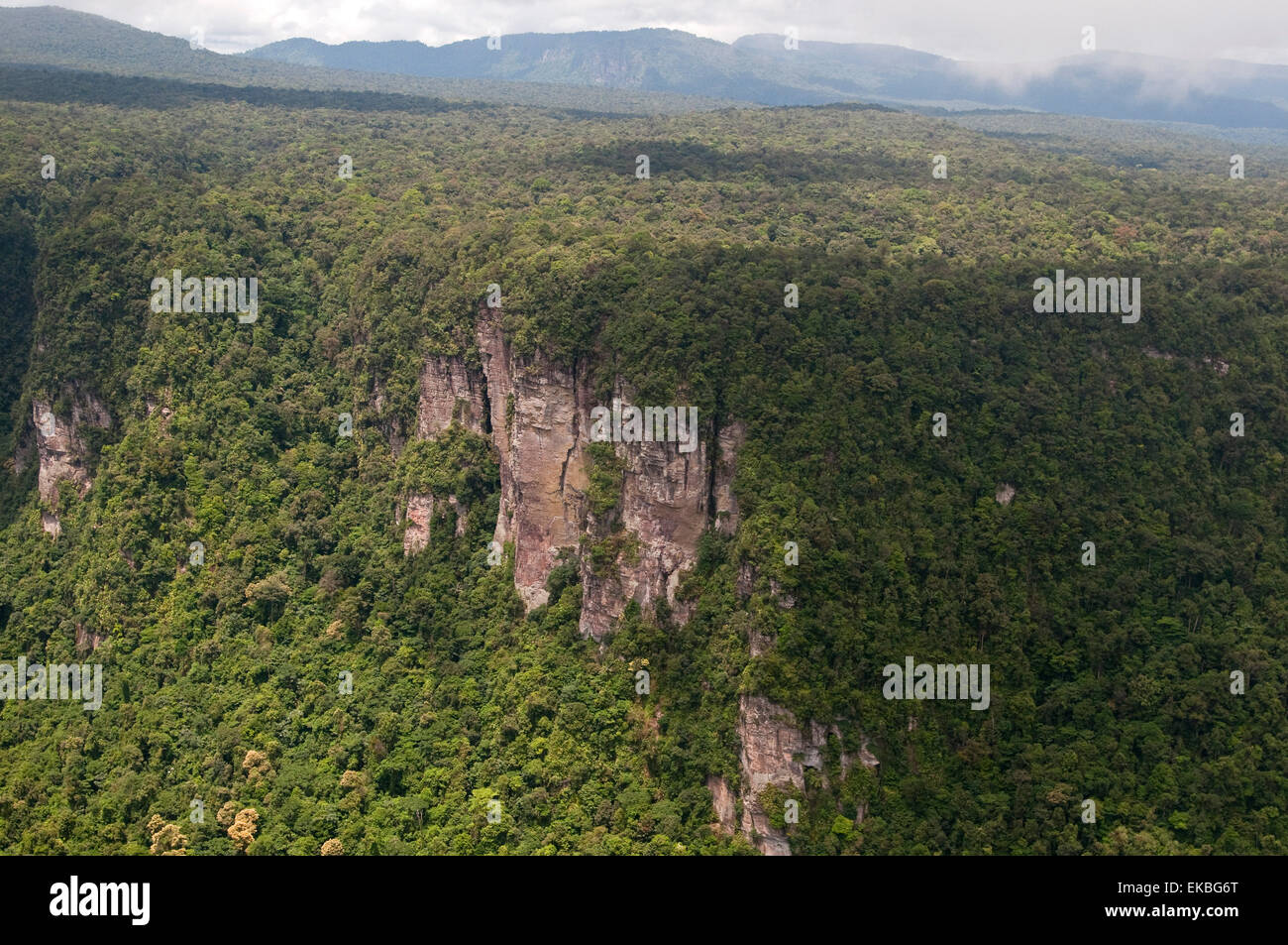 Luftaufnahme des bergigen Regenwald in Guyana, Südamerika Stockfoto