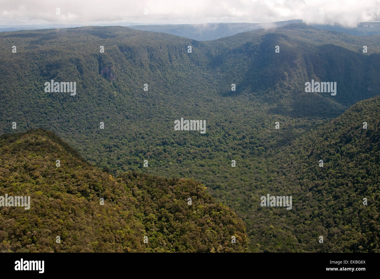 Luftaufnahme des bergigen Regenwald in Guyana, Südamerika Stockfoto