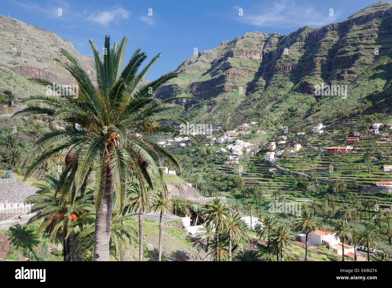 Terrassenfelder, Valle Gran Rey, La Gomera, Kanarische Inseln, Spanien, Europa Stockfoto
