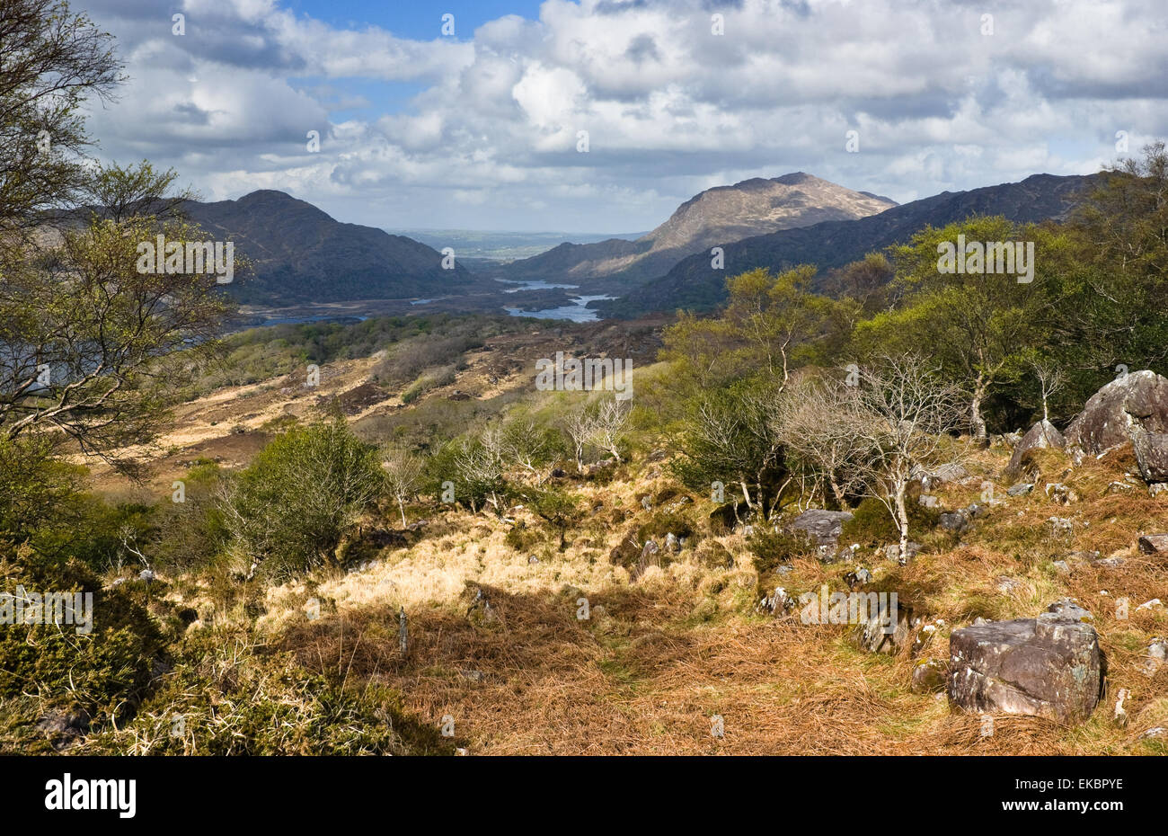 Ring of Kerry Stockfoto