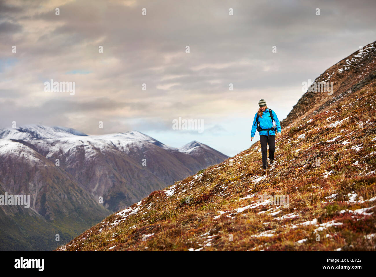 Weibliche Wanderer Wandern auf steilen Berg, Wrangell St. Elias, Alaska, USA Stockfoto