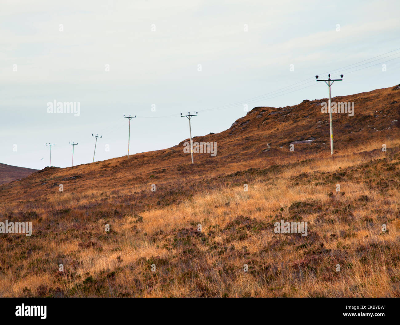 Reihe von elektrischen Masten in abgelegenen Landschaft, North West Highlands, Schottland, Großbritannien Stockfoto